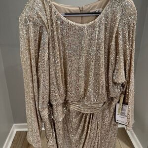 Sequin Champagne Dress
